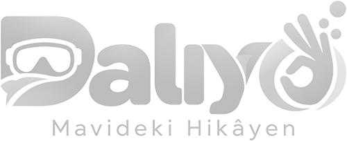 DALIYO — Mavideki Hikâyen